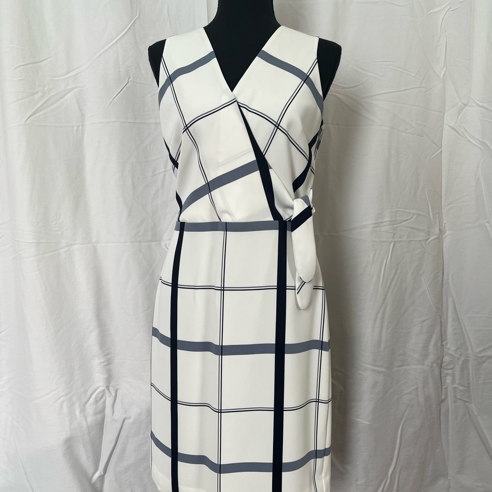 Gorgeous dress- well made with perfect details!